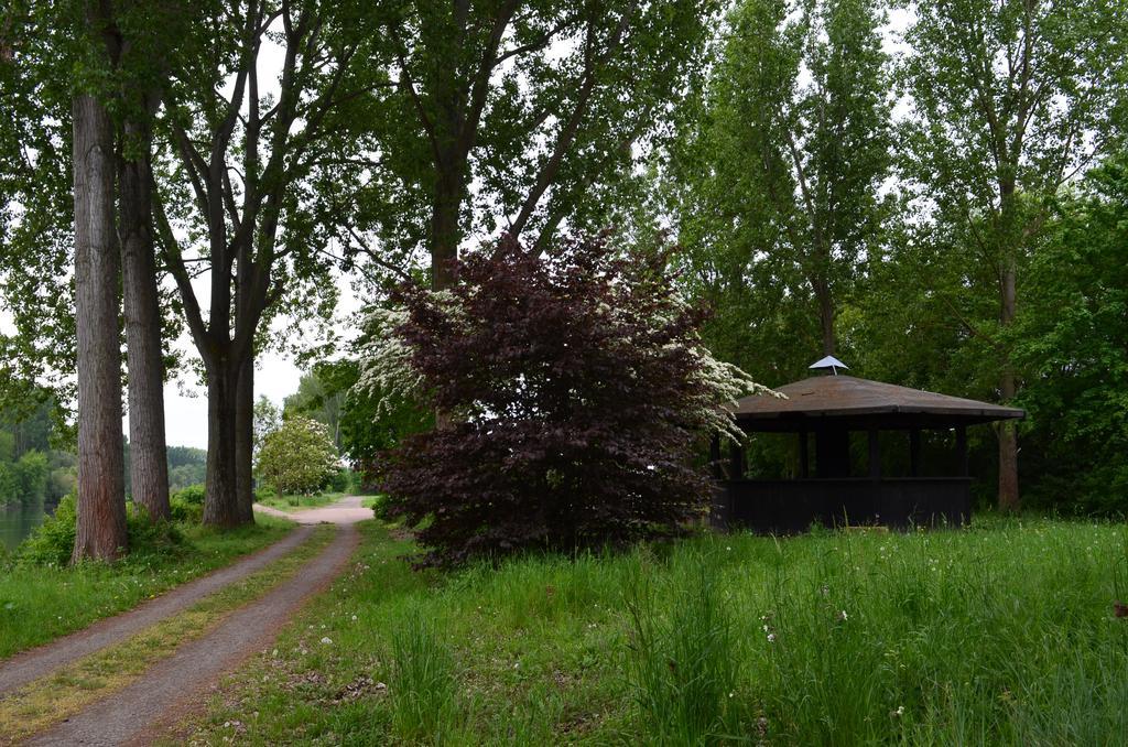 Zwei Raben Pension Mainz Exterior foto